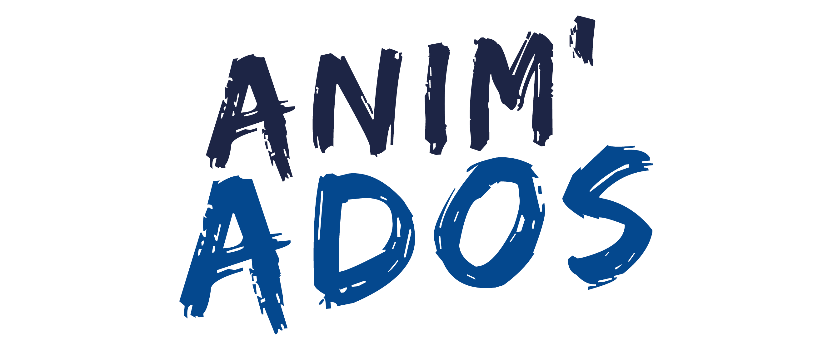 Logo de Anim’Ado – CDC Pithiverais